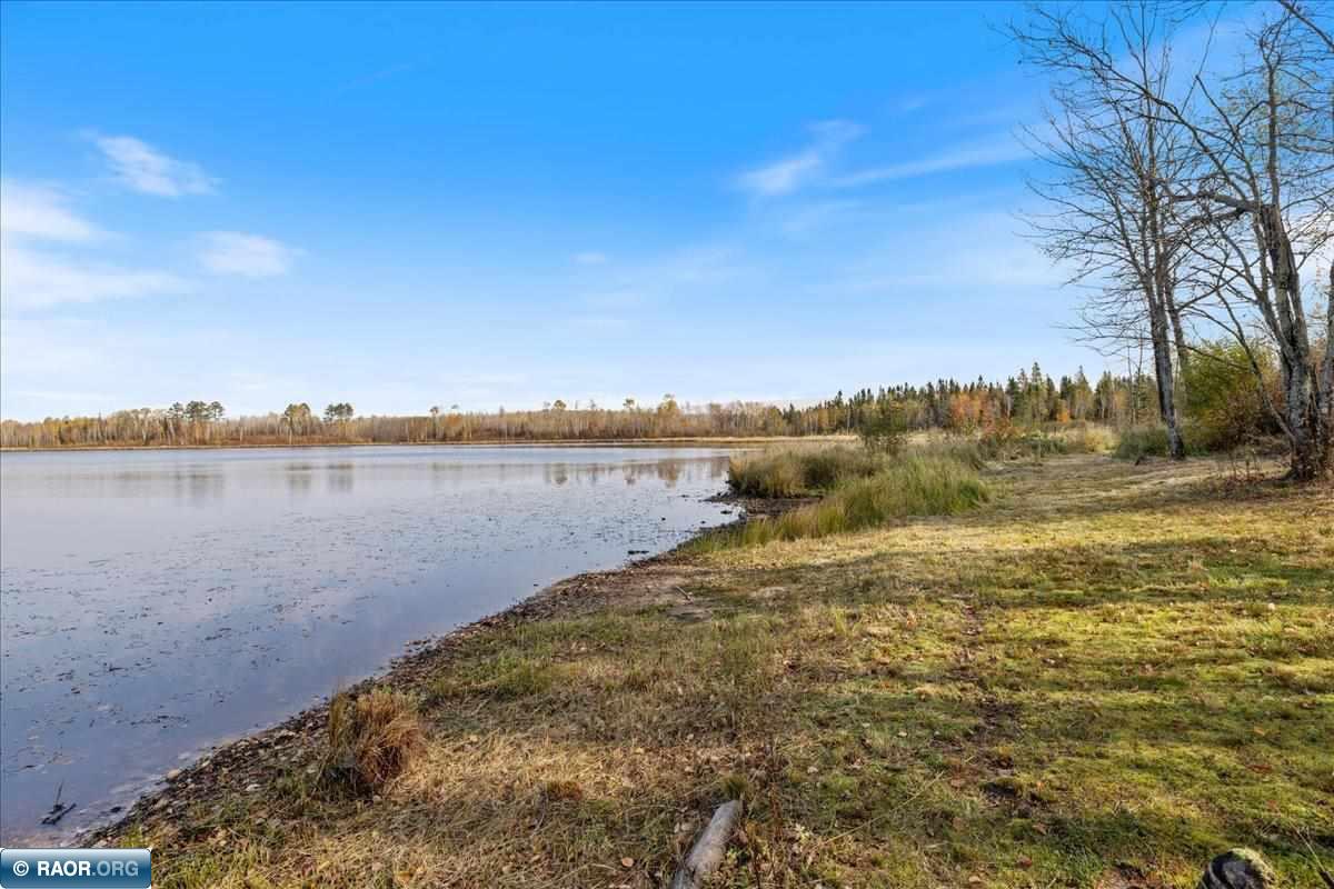 4061 Grass Lake Rd, Hibbing, MN 55746 Listing Photo  18