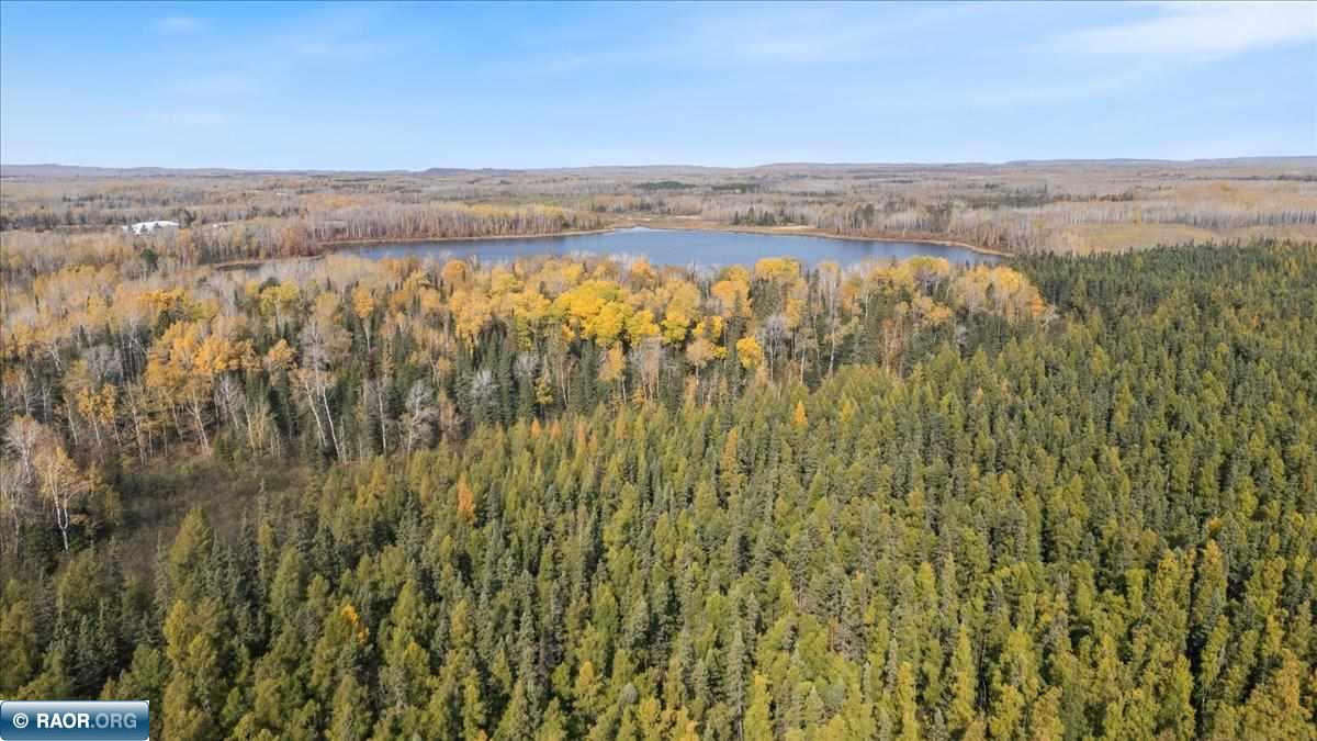 4061 Grass Lake Rd, Hibbing, MN 55746 Listing Photo  25
