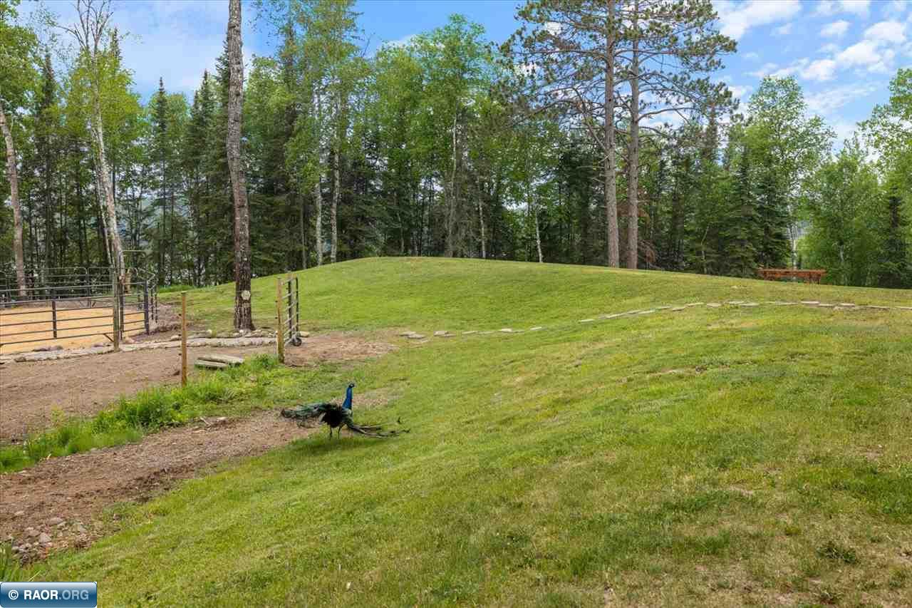 4187 Blueberry Trail