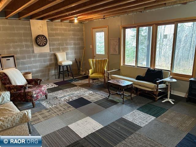 12846 Wichingen Road, Hibbing, MN 55746 Listing Photo  13