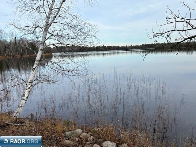 12846 Wichingen Road, Hibbing, MN 55746 Listing Photo  3