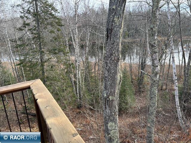12846 Wichingen Road, Hibbing, MN 55746 Listing Photo  23