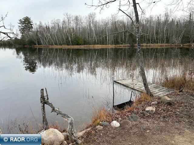 12846 Wichingen Road, Hibbing, MN 55746 Listing Photo  24