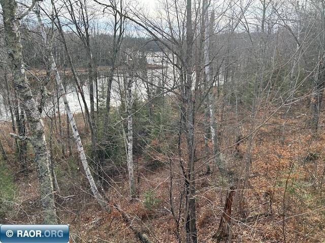 12846 Wichingen Road, Hibbing, MN 55746 Listing Photo  26