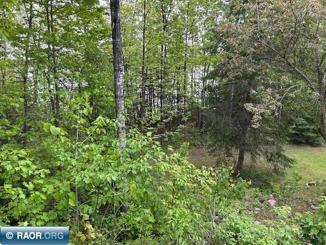 12842 Wichingen Rd, Hibbing, MN 55746 Listing Photo  26