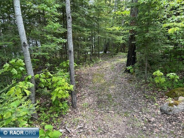 12842 Wichingen Rd, Hibbing, MN 55746 Listing Photo  37