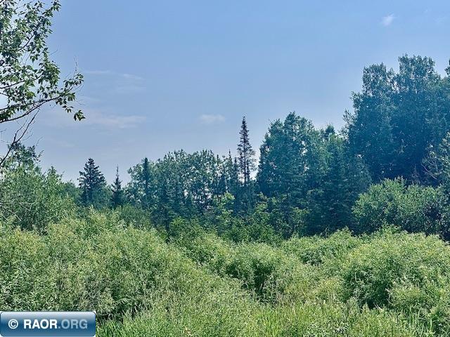 Discover the perfect blend of privacy and potential with this stunning 28.75-acre wooded parcel located on Admiral Road in Iron, Minnesota.  This expansive property offers a serene setting surrounded by nature—ideal for your dream home, recreational retreat, or investment opportunity. With year-round road access and utilities nearby, the property provides a mix of high ground and mature timber, creating a beautiful and versatile landscape. Whether you’re looking to build, hunt, or simply enjoy the peace and quiet of northern Minnesota, this property delivers endless possibilities. Priced under taxable value!  Motivated Sellers!