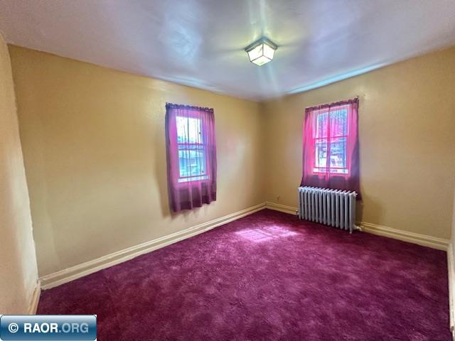 1319 13th St, Hibbing, MN 55746 Listing Photo  22
