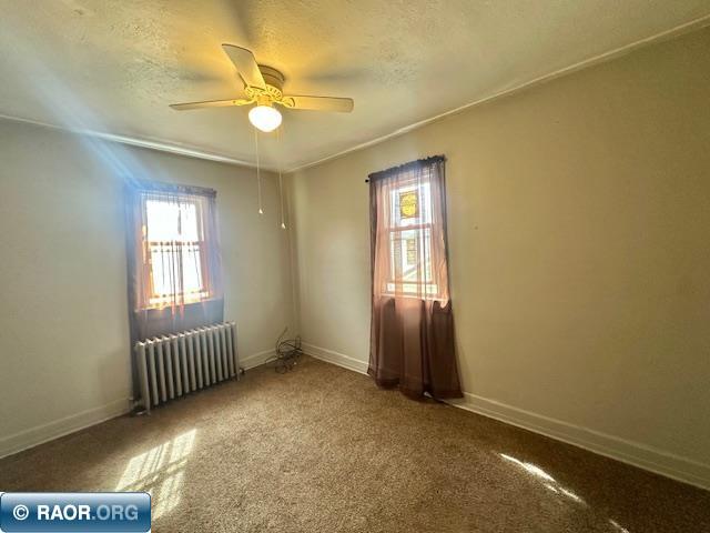 1319 13th St, Hibbing, MN 55746 Listing Photo  24