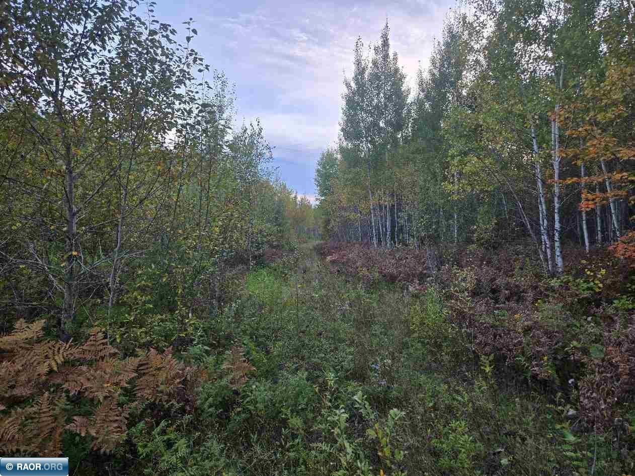 Excellent hunting land opportunity with gated driveway, and mixed forestry with US Steel and Federal land nearby. Easily accessible year round and many ATV trails nearby