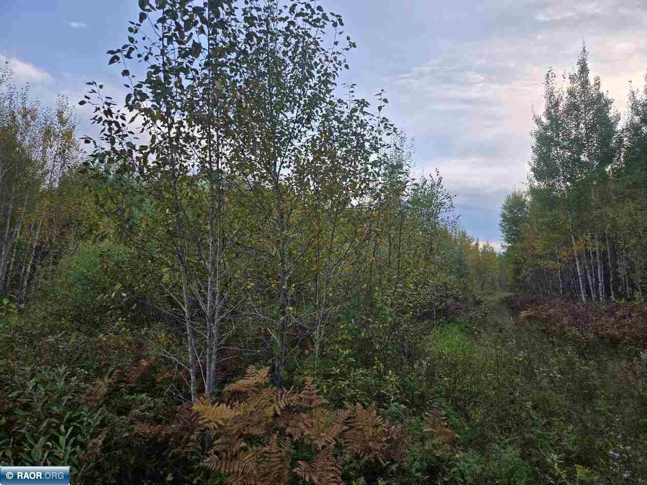 TBD Sherwood Anderson Rd