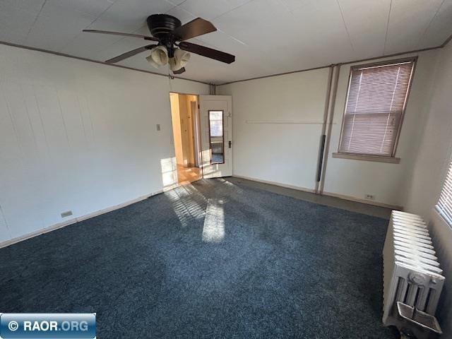 131 E 17TH ST, Hibbing, MN 55746 Listing Photo  11