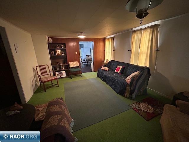 131 E 17TH ST, Hibbing, MN 55746 Listing Photo  23