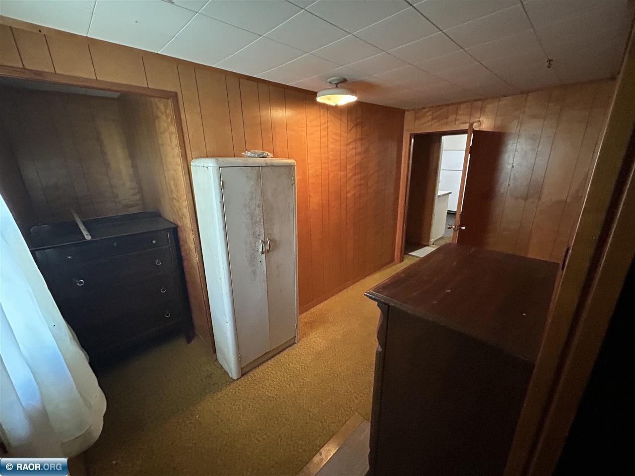 131 E 17TH ST, Hibbing, MN 55746 Listing Photo  28