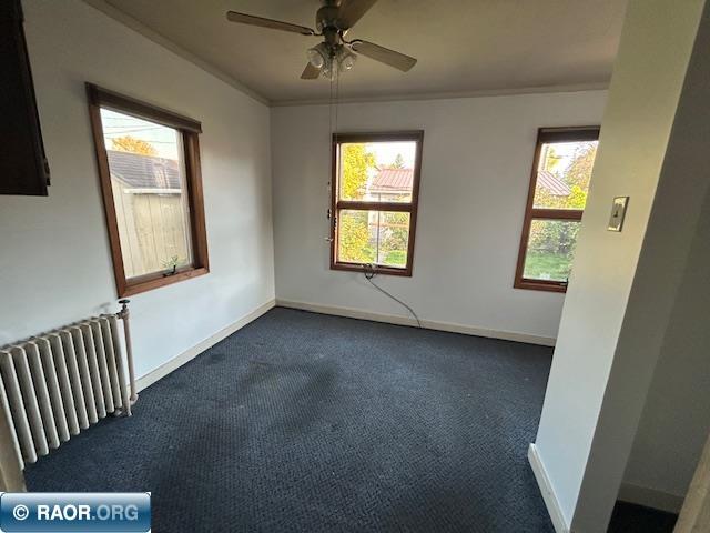 131 E 17TH ST, Hibbing, MN 55746 Listing Photo  10