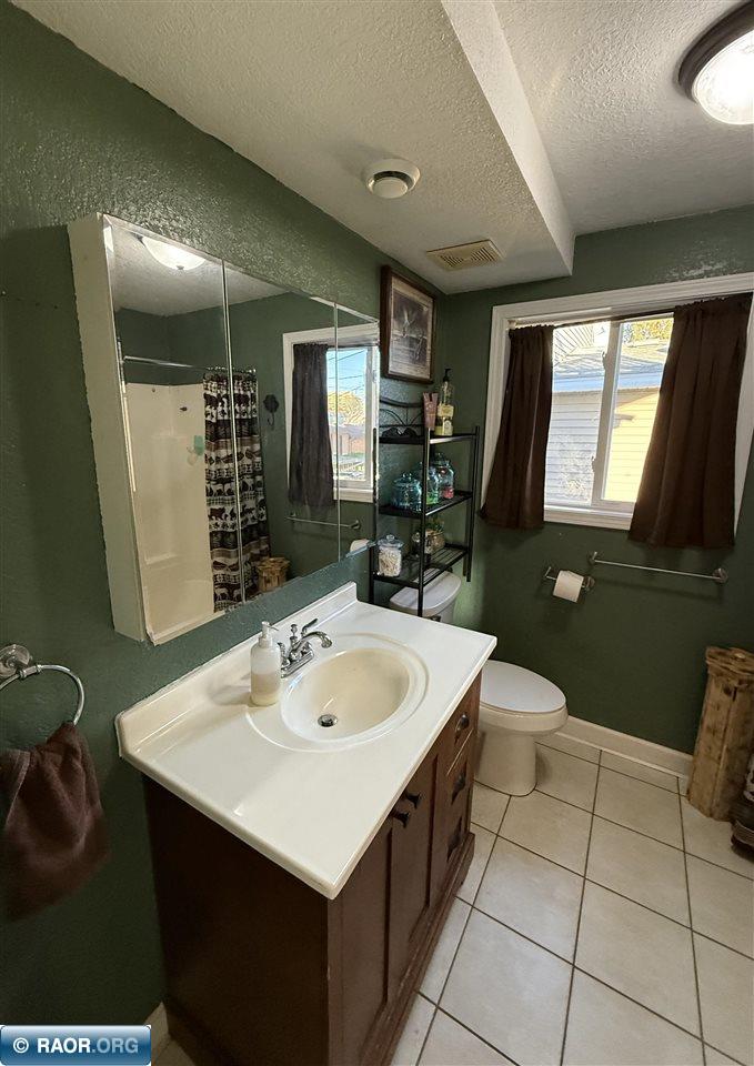 311 W 2nd Ave N, Aurora, MN 55705 Listing Photo  6