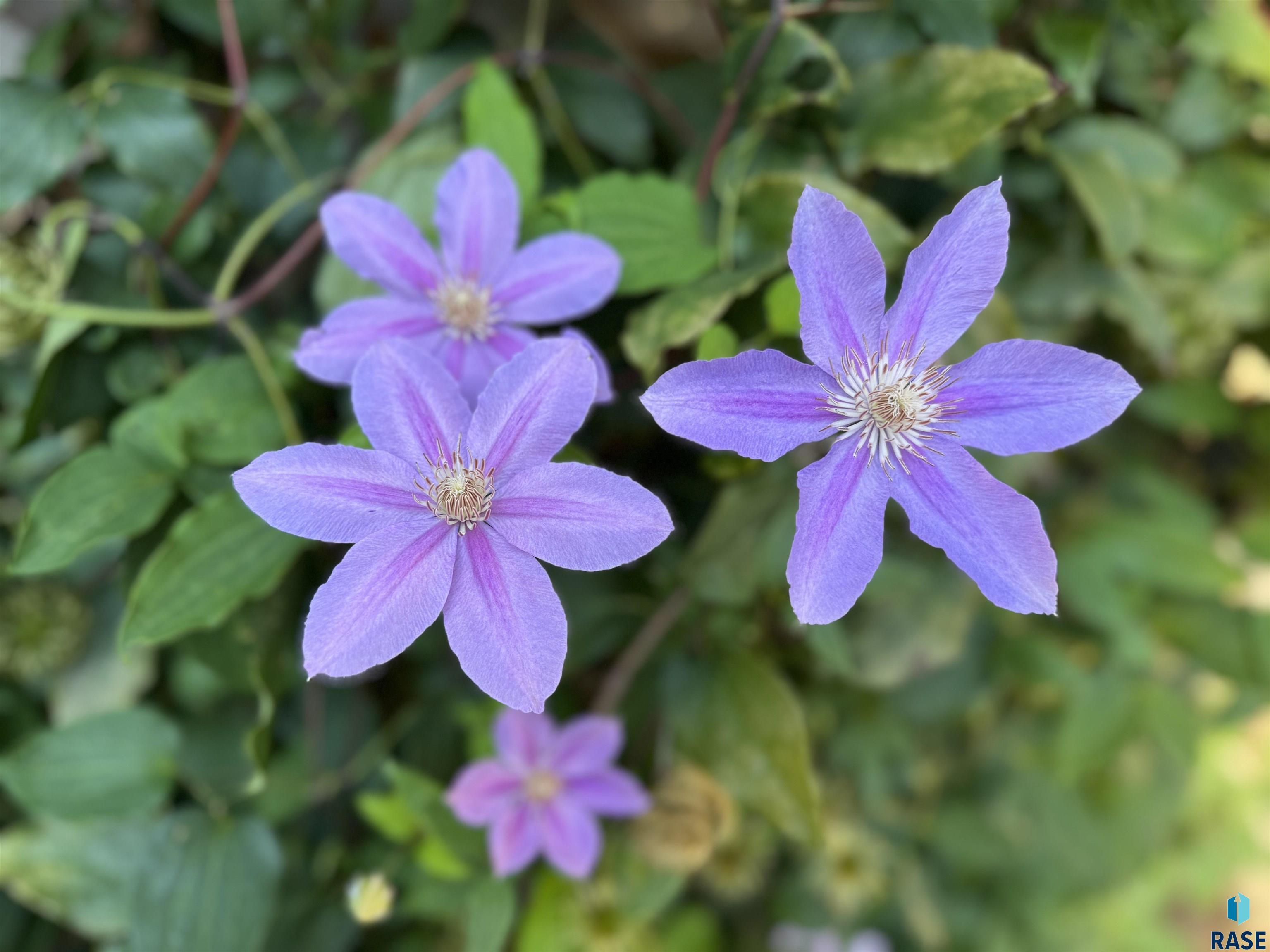 5121 E 17th St Street