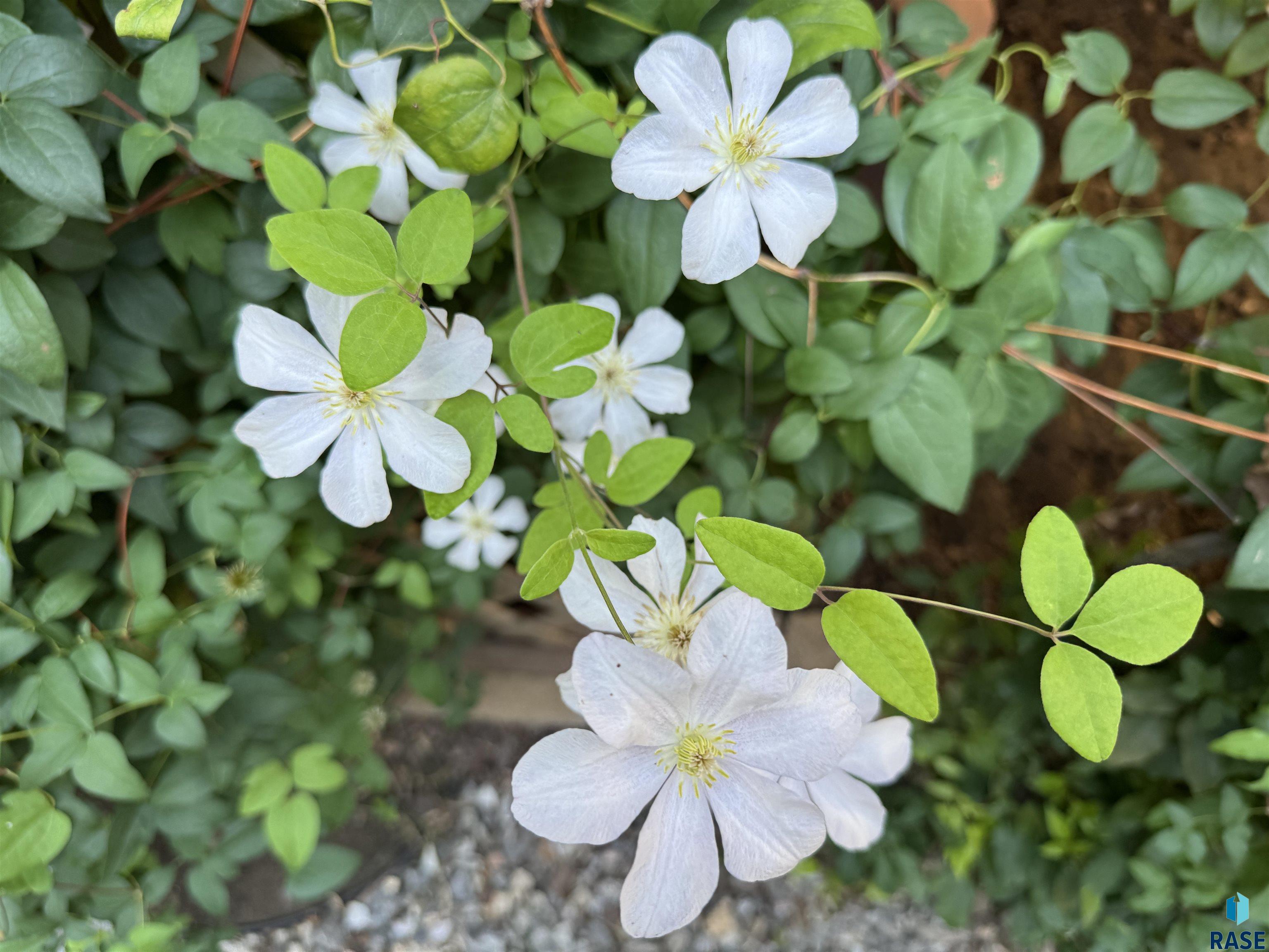 5121 E 17th St Street