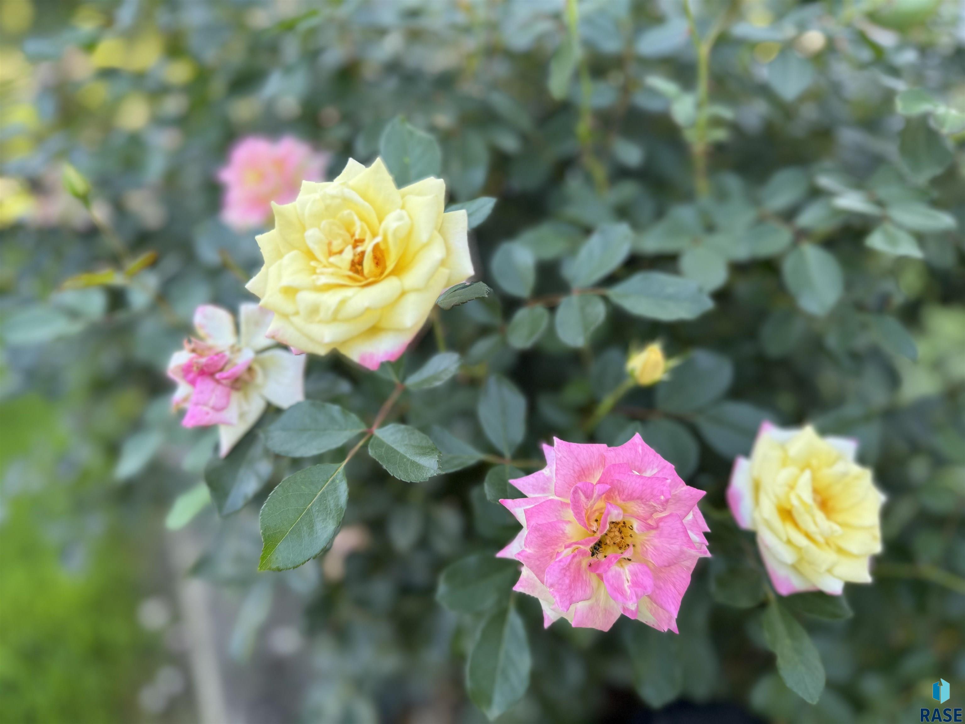 5121 E 17th St Street