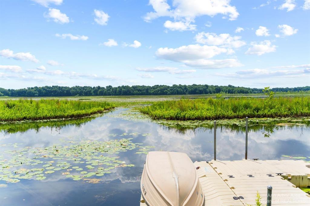 14185 ISLAND LAKE, CHELSEA, MI 48118