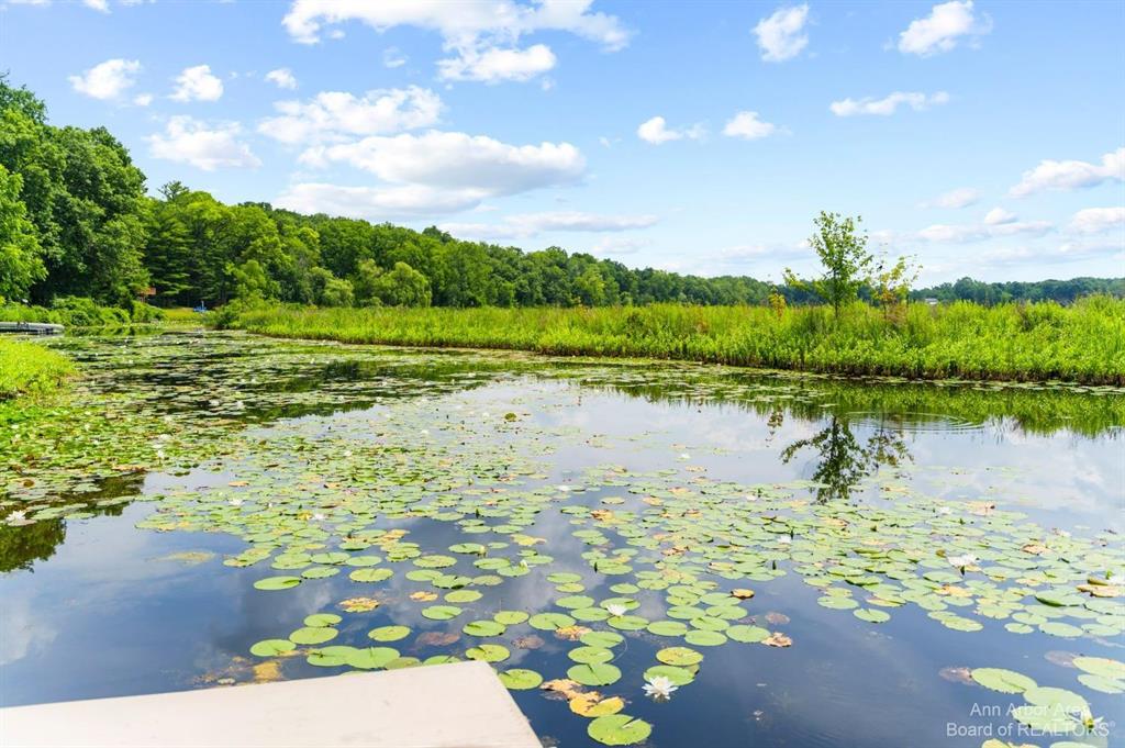 14185 ISLAND LAKE, CHELSEA, MI 48118