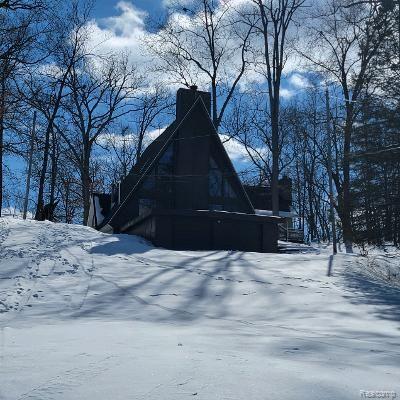 636 OAK HILLS, Brooklyn, MI 49230