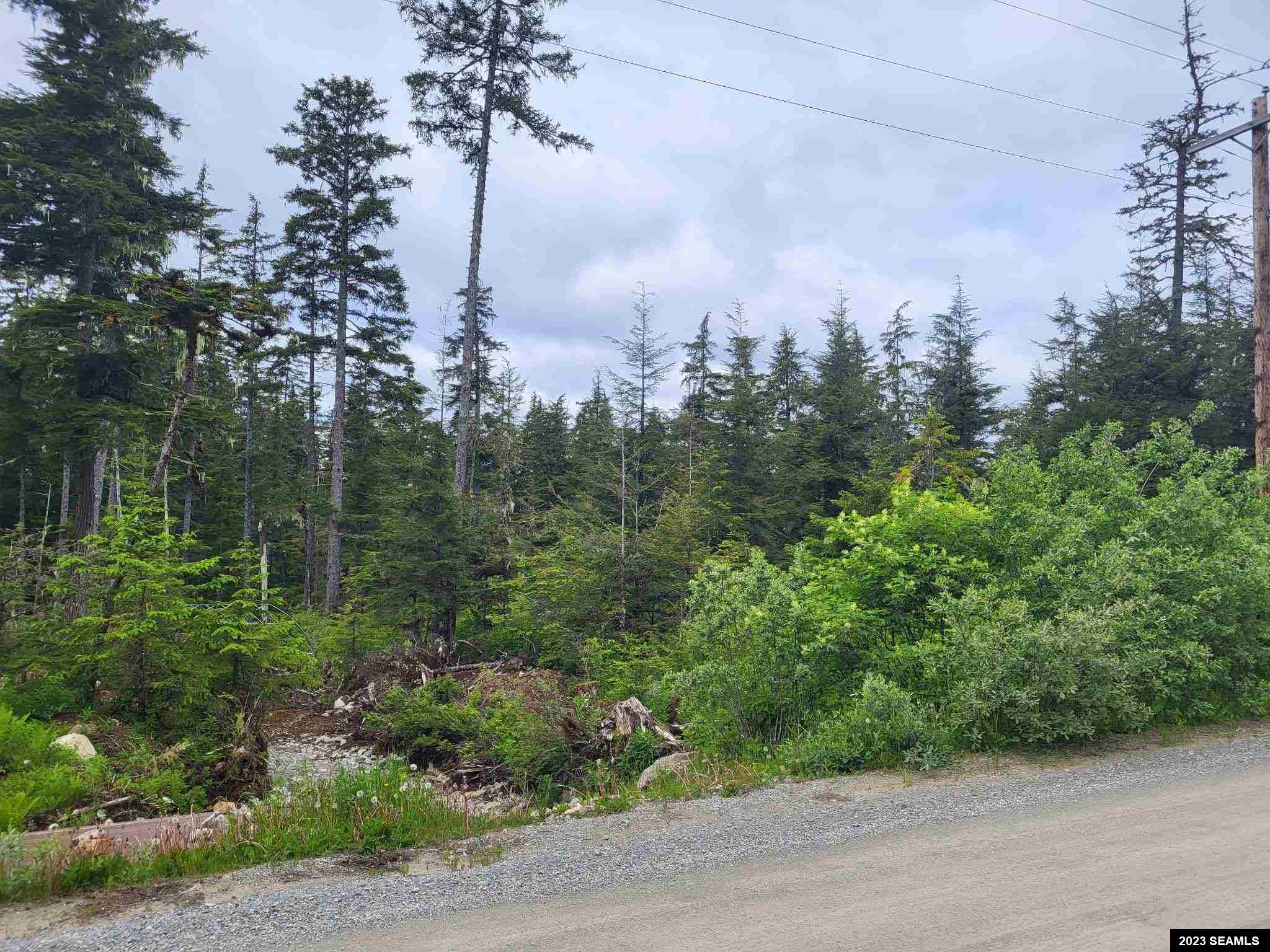 Lot 51C Legal Address Only, Angoon, AK 99820, ,Land,For Sale,Legal Address Only,23380