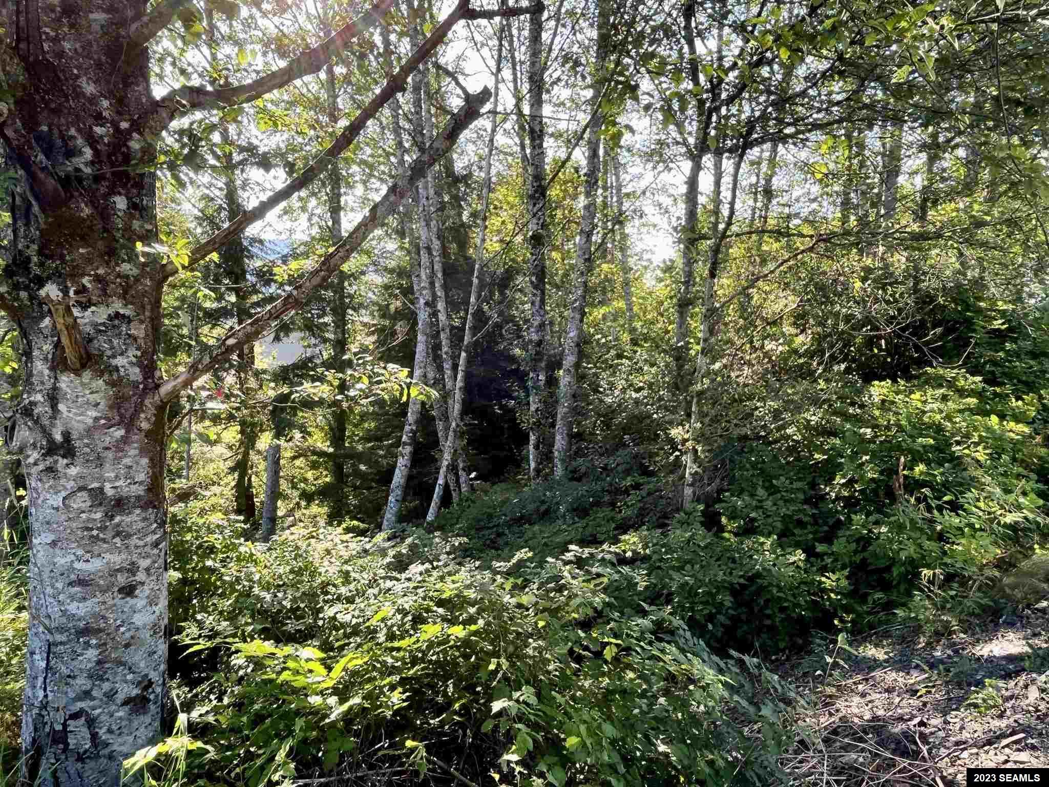 Lot 6A Block 3 Baranof Avenue, Ketchikan, Alaska 99901, ,Land,For Sale,Baranof Avenue,23543
