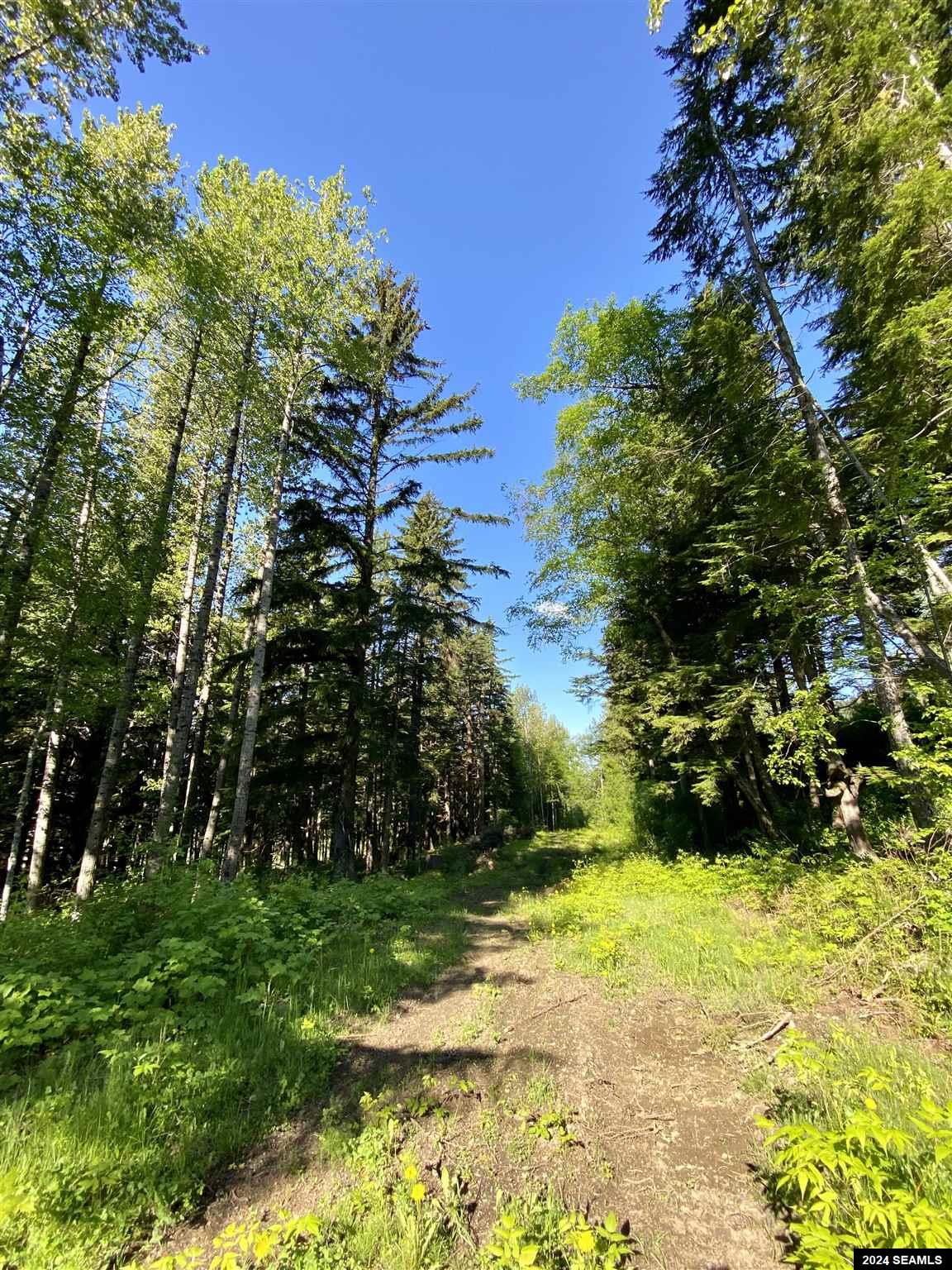 Lot B Legal Address Only, Haines, AK 99827, ,Land,For Sale,Legal Address Only,24071