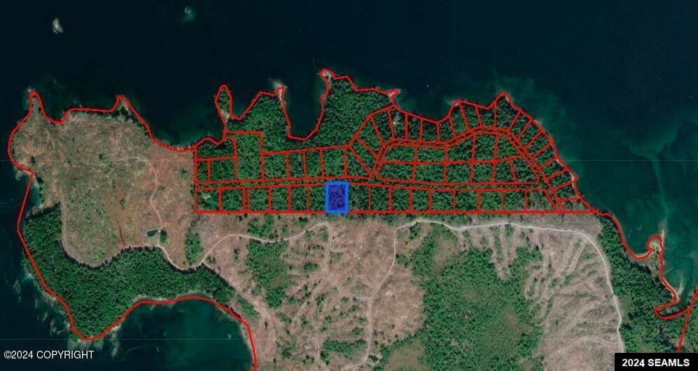 NSA Gravina Island, Ketchikan, AK 99901, ,Land,For Sale,Gravina Island,24216