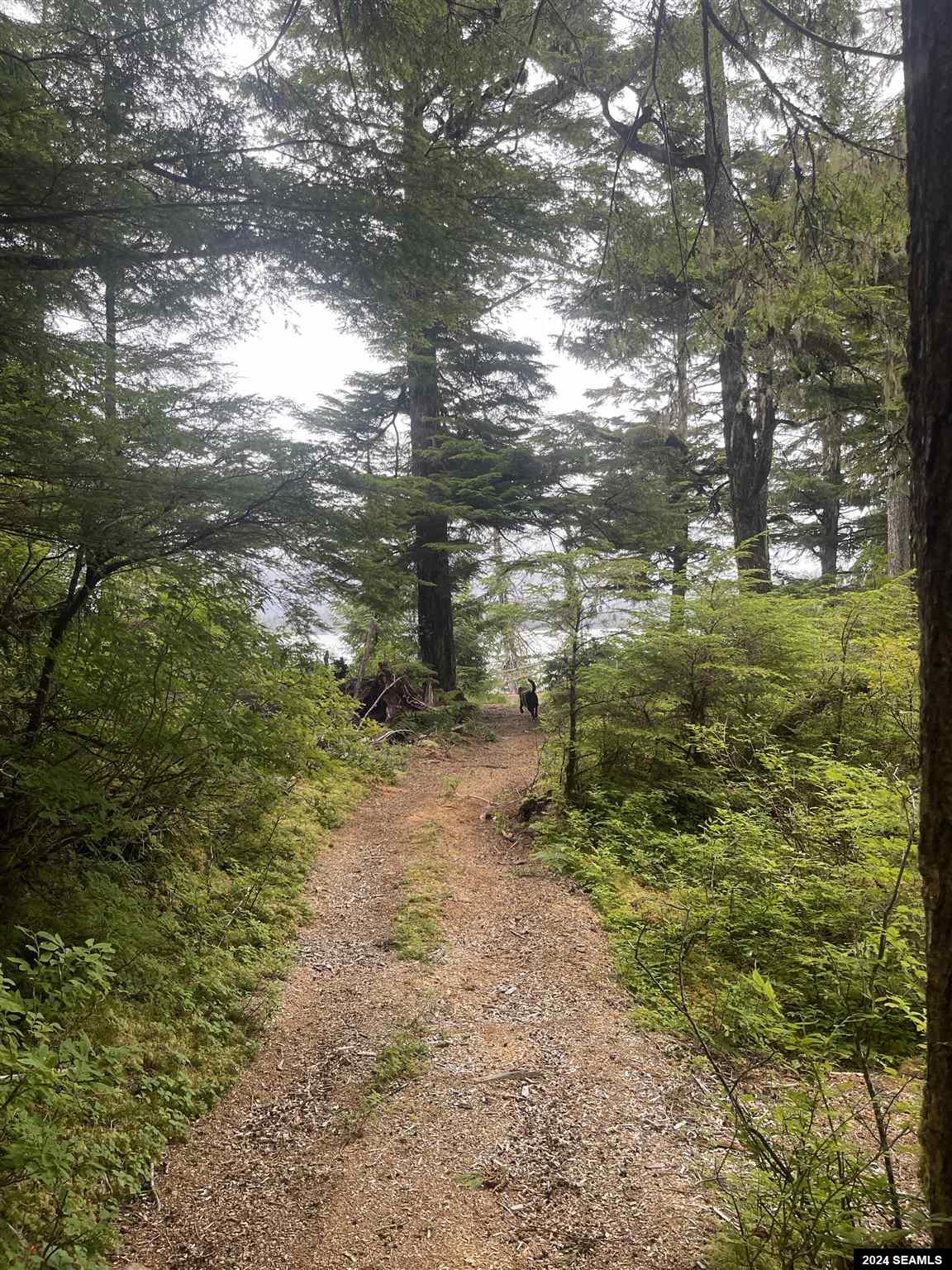 Residential 1 Bedroom Price 329,000 24299