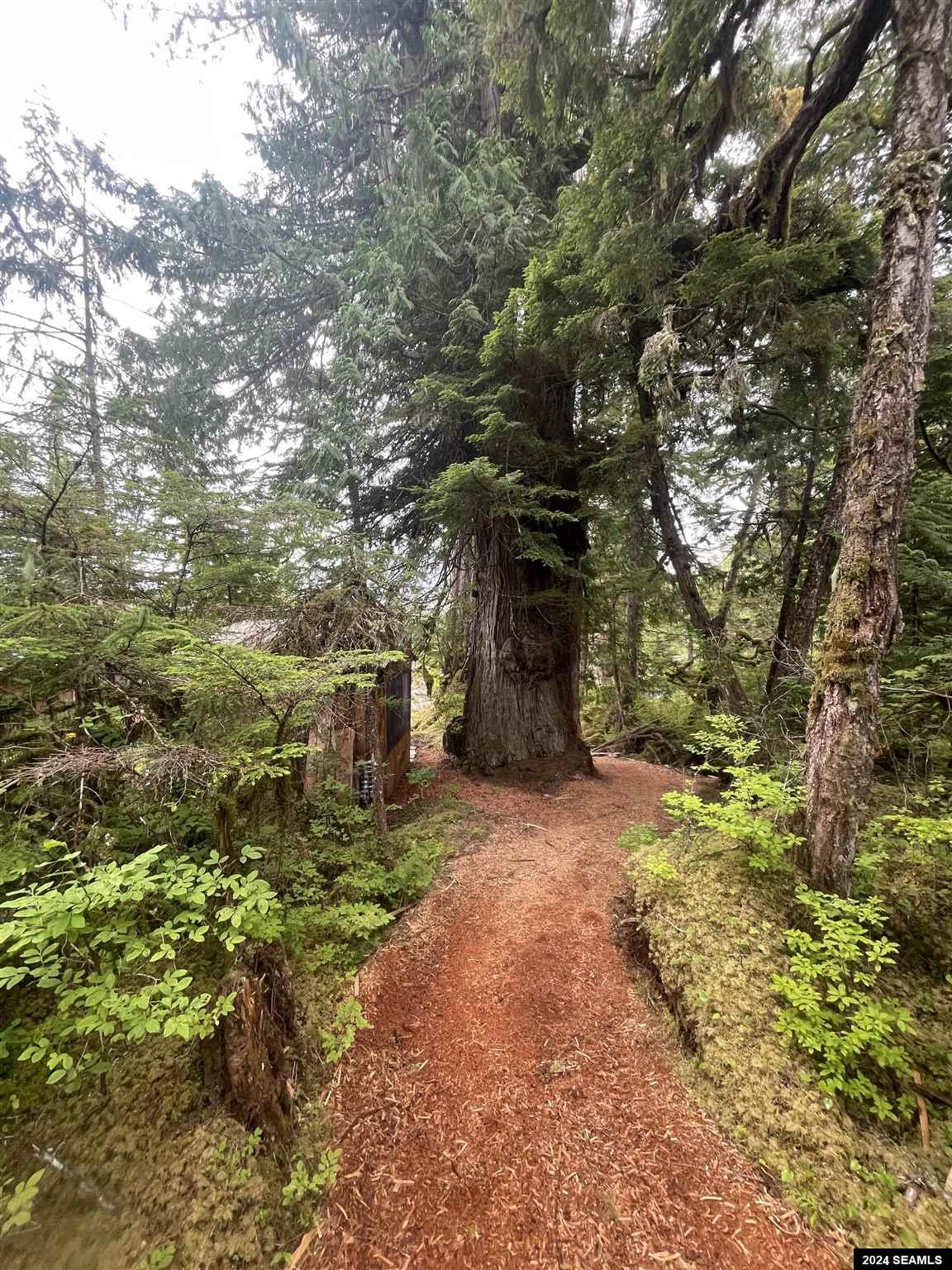 Residential 1 Bedroom Price 329,000 24299