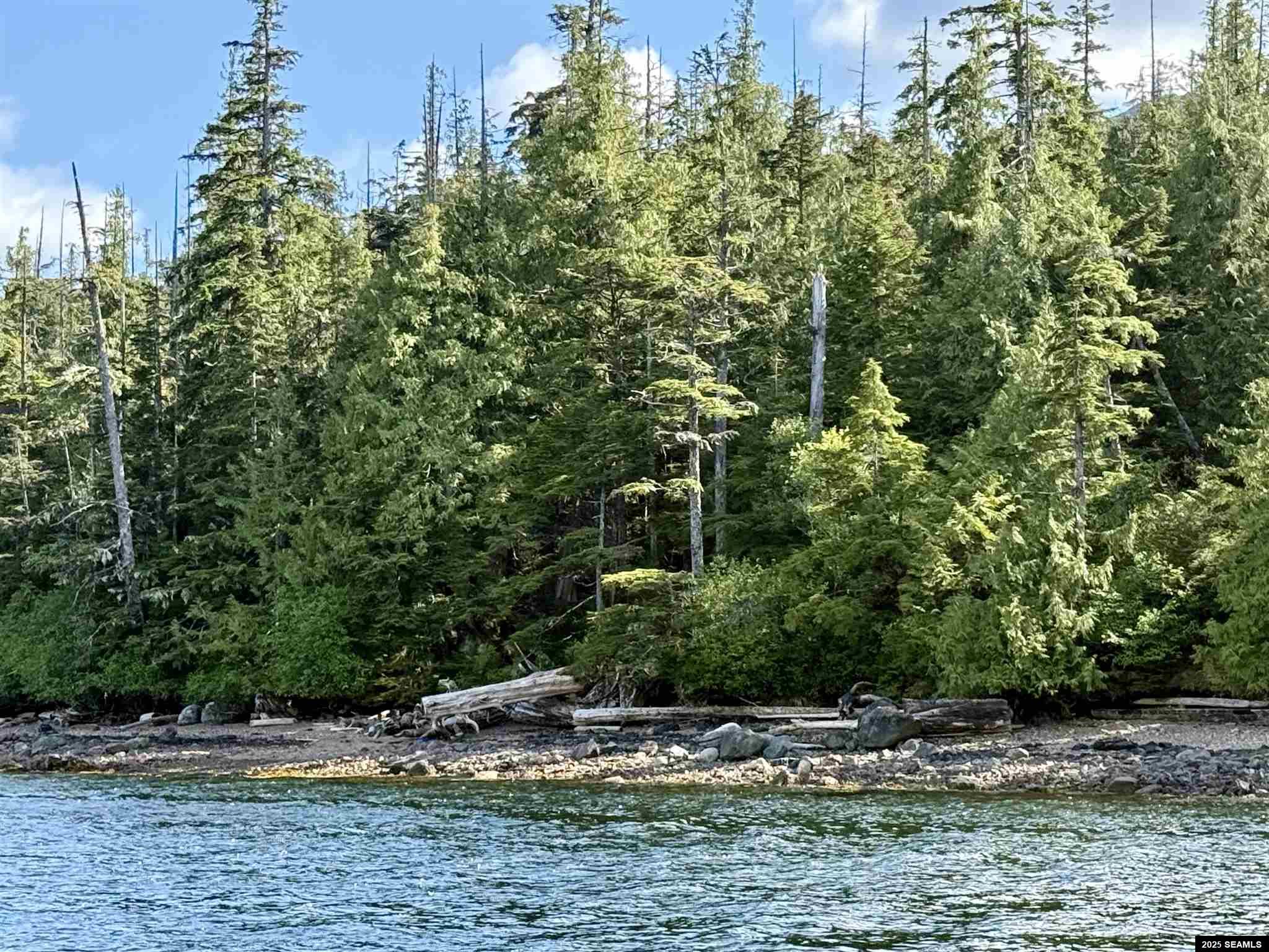 Lot 8 Block 2 Gravina Island, Ketchikan, Alaska 99901, ,Land,For Sale,Gravina Island,25580