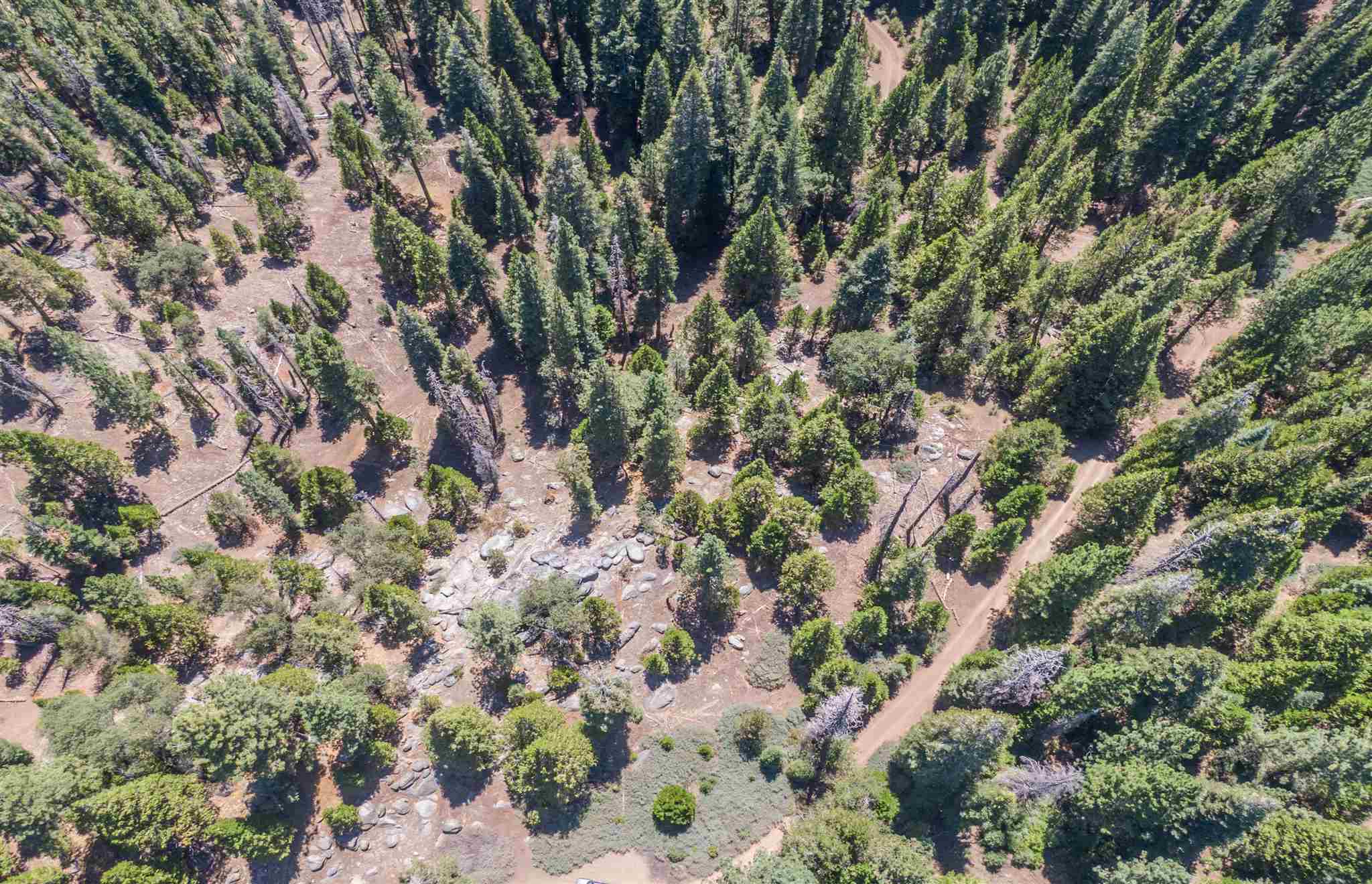 40 Acres Dodge Mdw, Cold Springs, CA 95335