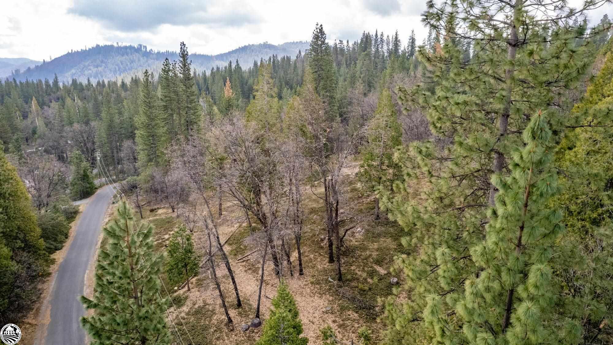 Buildable and Beautiful! This cleared 3.07 acre parcel has gorgeous eastern views and three potential home sites. Electricity and Water nearby for easy hook up. Septic required. Survey complete! Dream home ready!