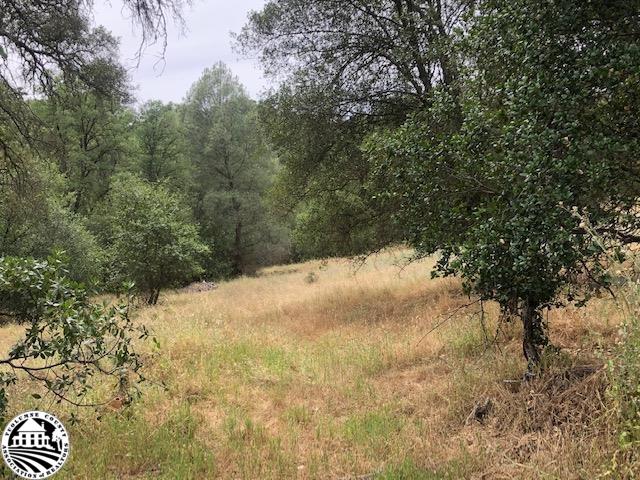 9.06 rolling acres to build; great horse property; zoned for multi-purpose residence; close to downtown Sonora and Columbia; close to shopping and Sonora Union High School.  Value is in land; house has no value.    As is sale.  Contingent upon seller finding replacement home; call agent for showing.