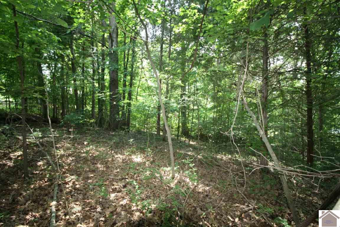 000 Paw Paw Court Cadiz KY 42211 Sold