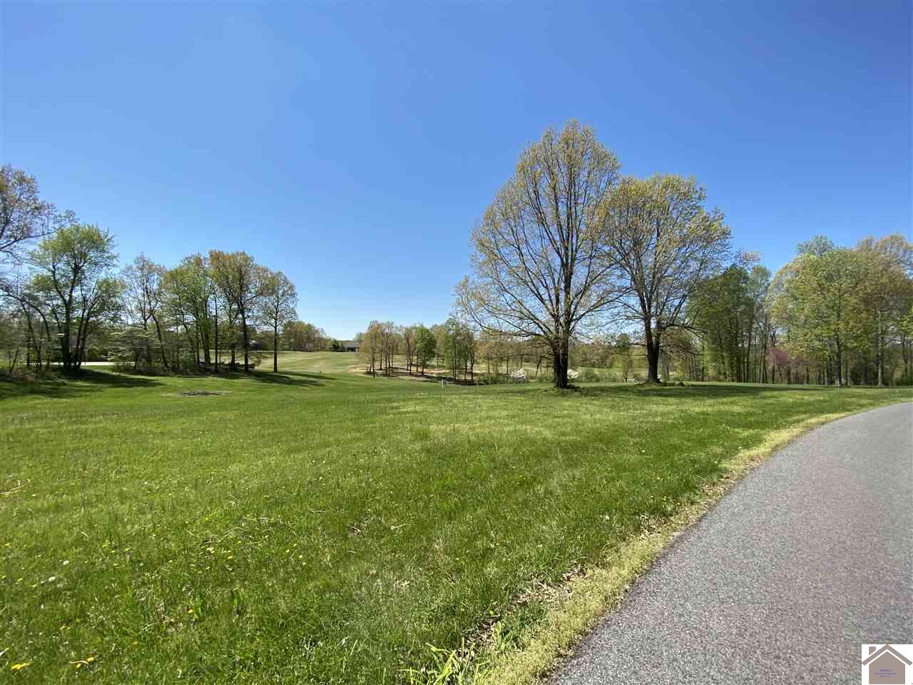 000 24th, Benton, KY 42025 Listing Photo  2