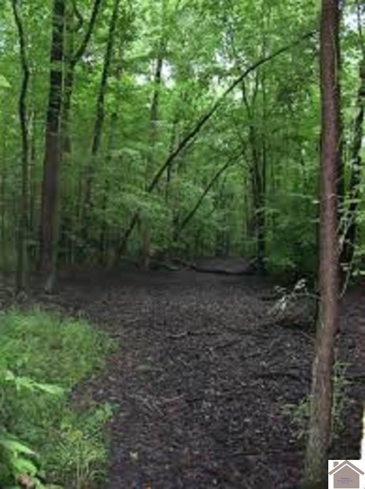 000 Hollifield Cemetery Road Wingo KY 42088 Sold