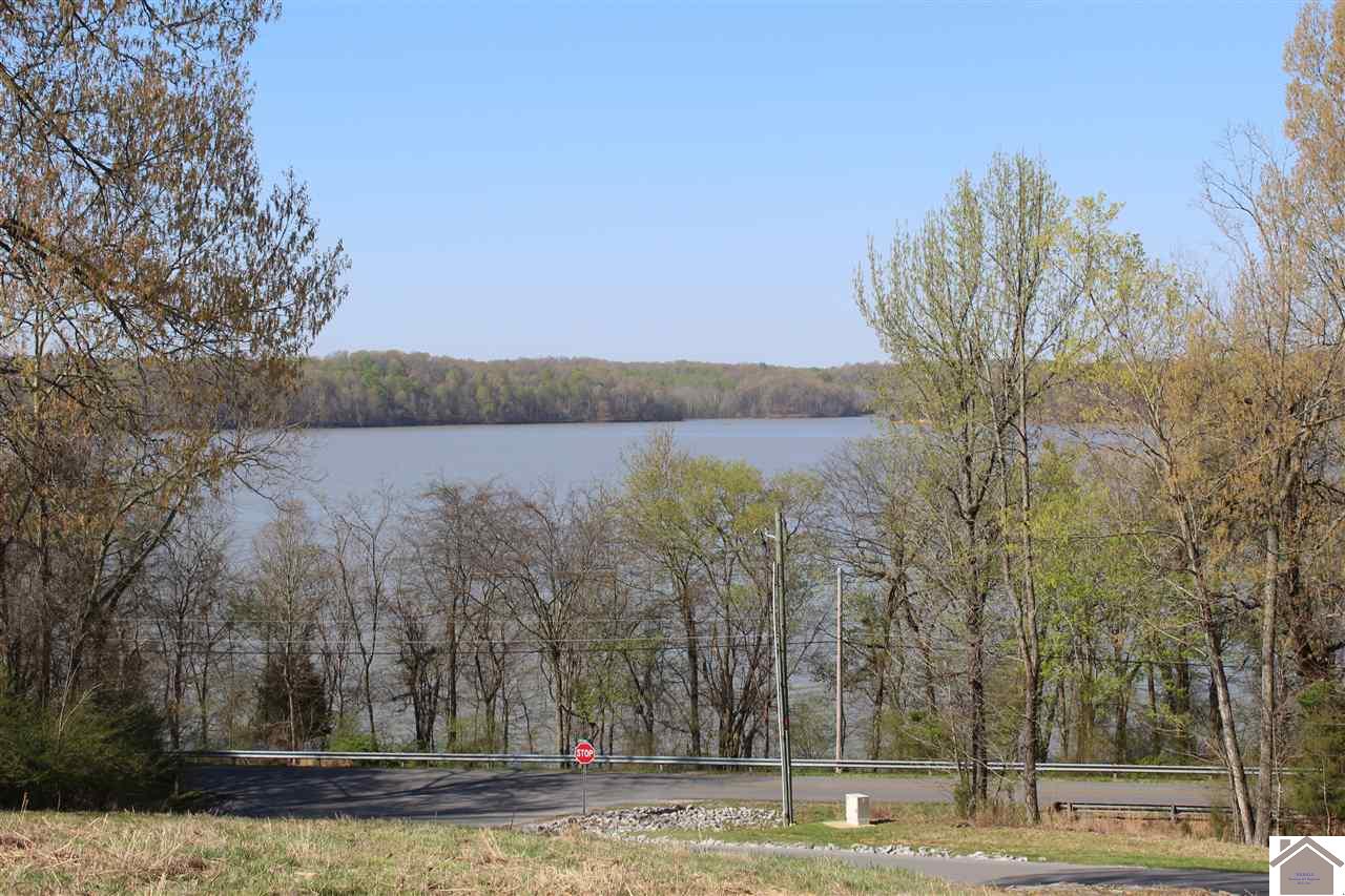 Lots 1 Oak View Lane, Eddyville, KY 42038 Listing Photo  1