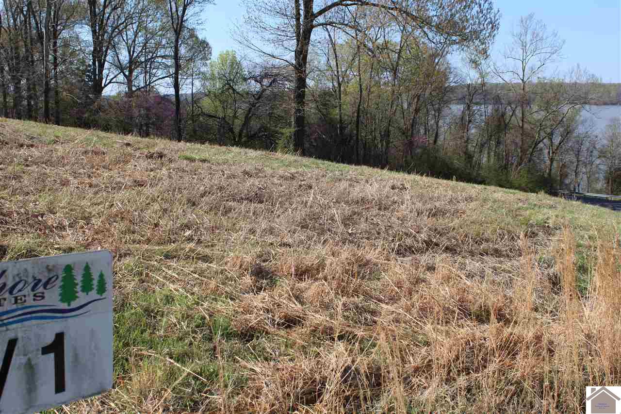 Lots 1 Oak View Lane, Eddyville, KY 42038 Listing Photo  2
