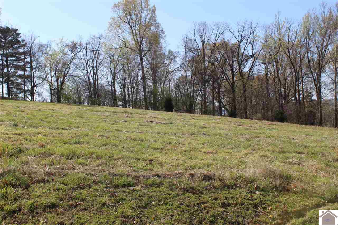 Lots 1 Oak View Lane, Eddyville, KY 42038 Listing Photo  3