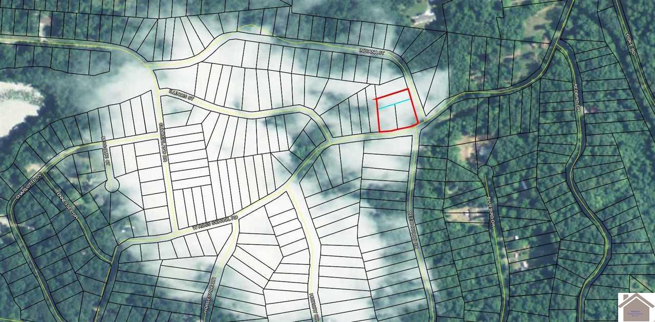 Lots 197-199 W Ross School Road, Cadiz, KY 42211 Listing Photo  1