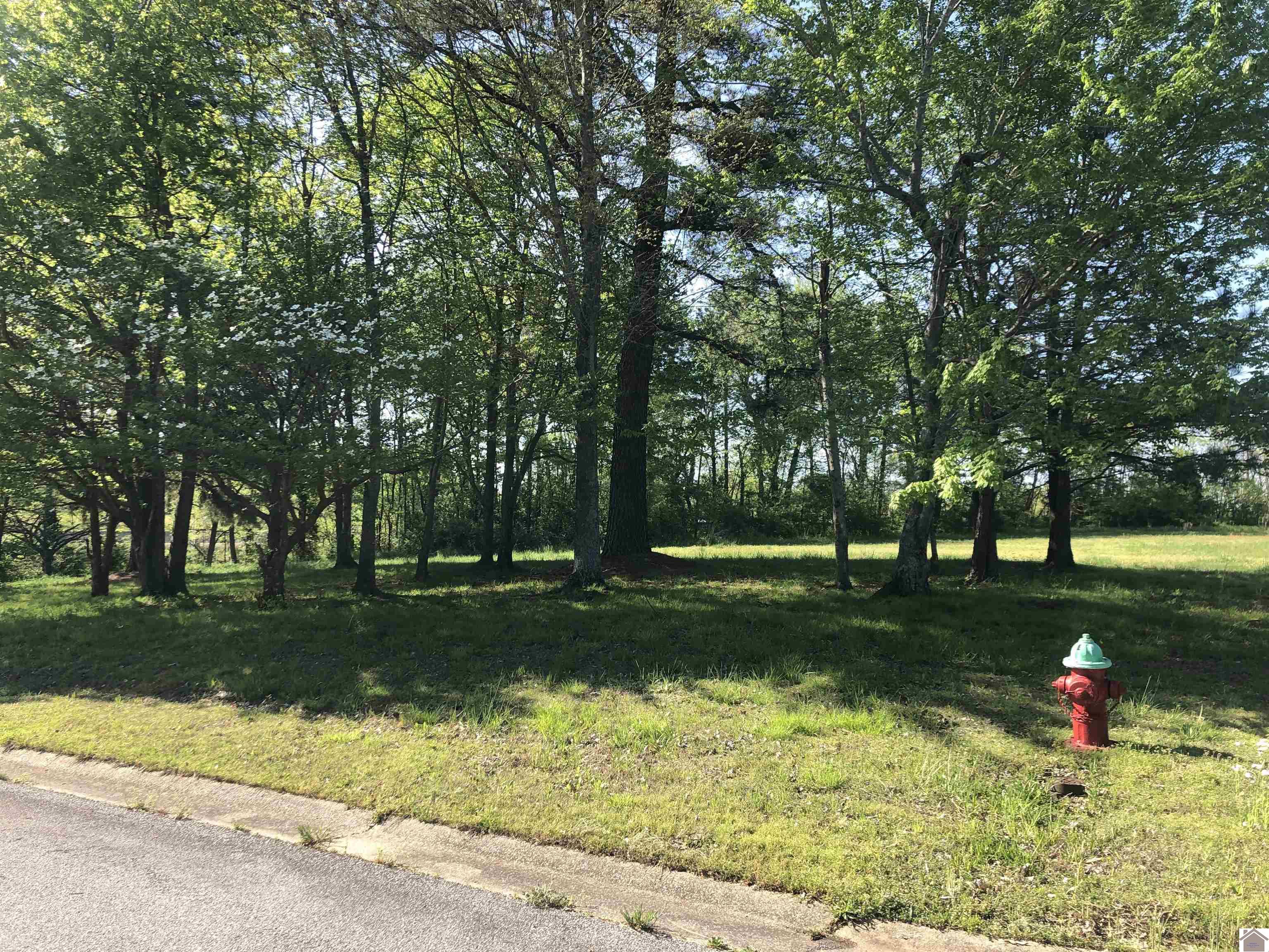 Links Ln, Mayfield, KY 42066 Listing Photo  1
