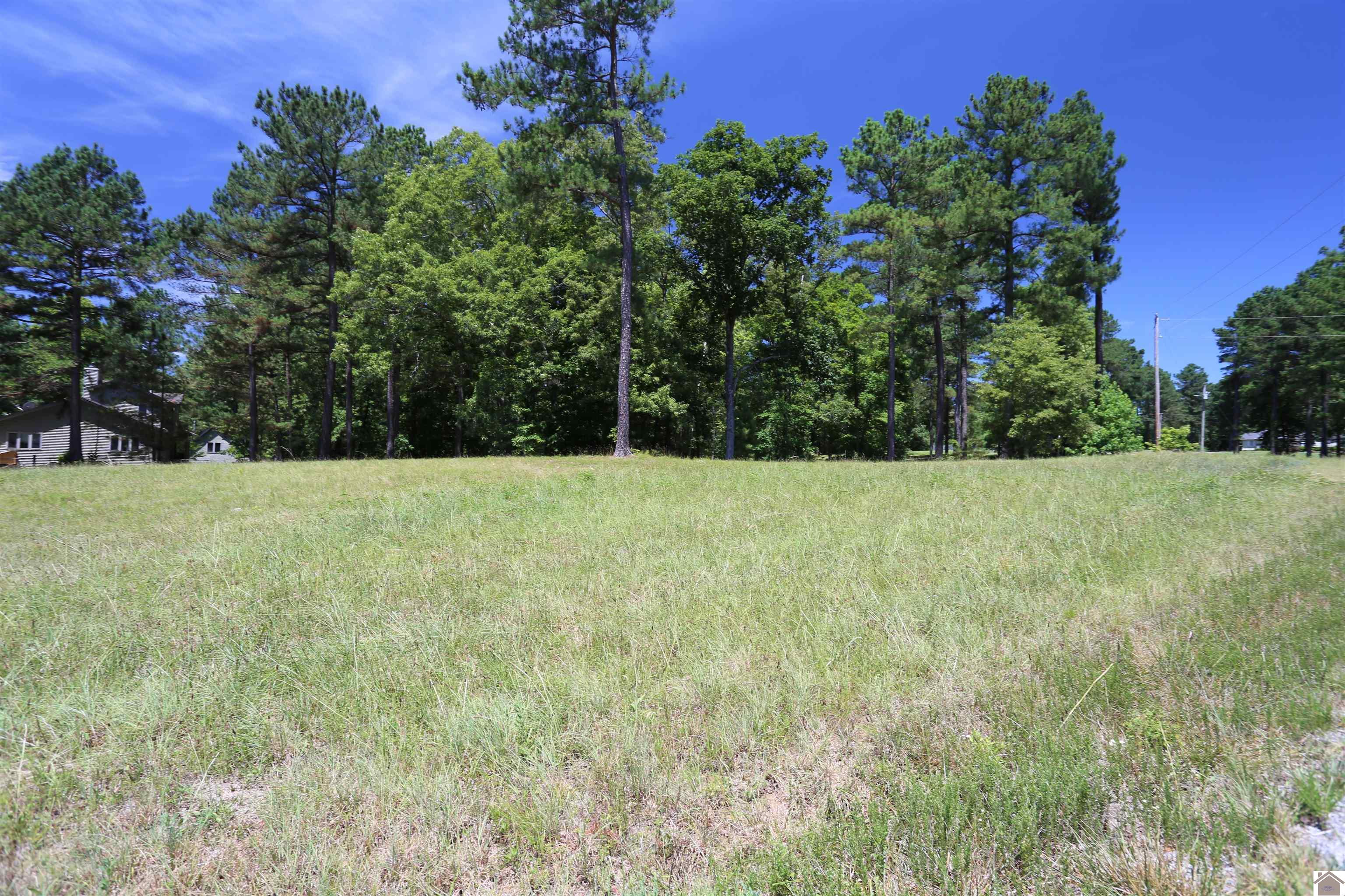Lot #39 Shelby Drive, Benton, KY 42025 Listing Photo  1