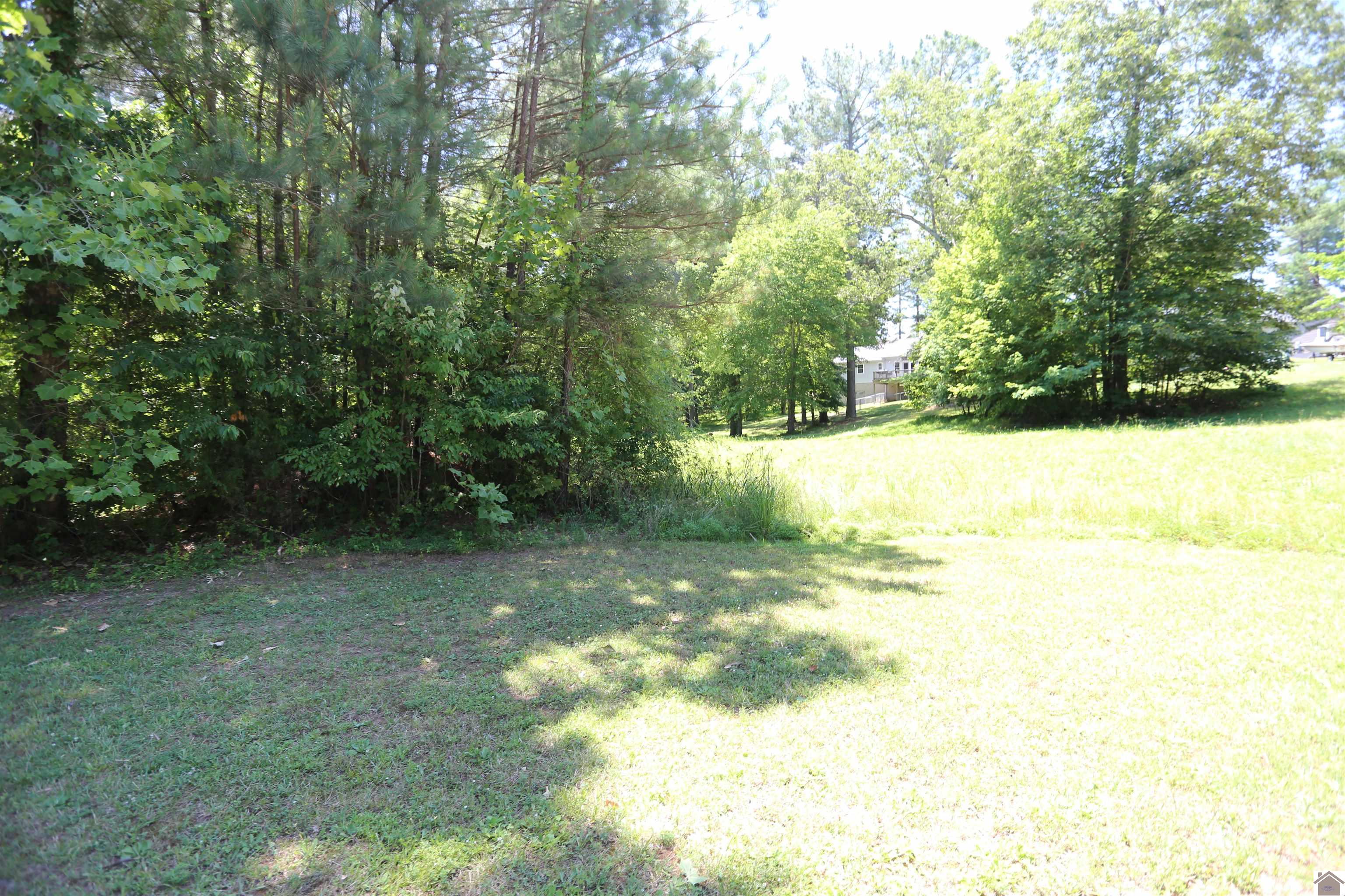 Lot #46 Doe Valley Drive, Benton, KY 42025 Listing Photo  1