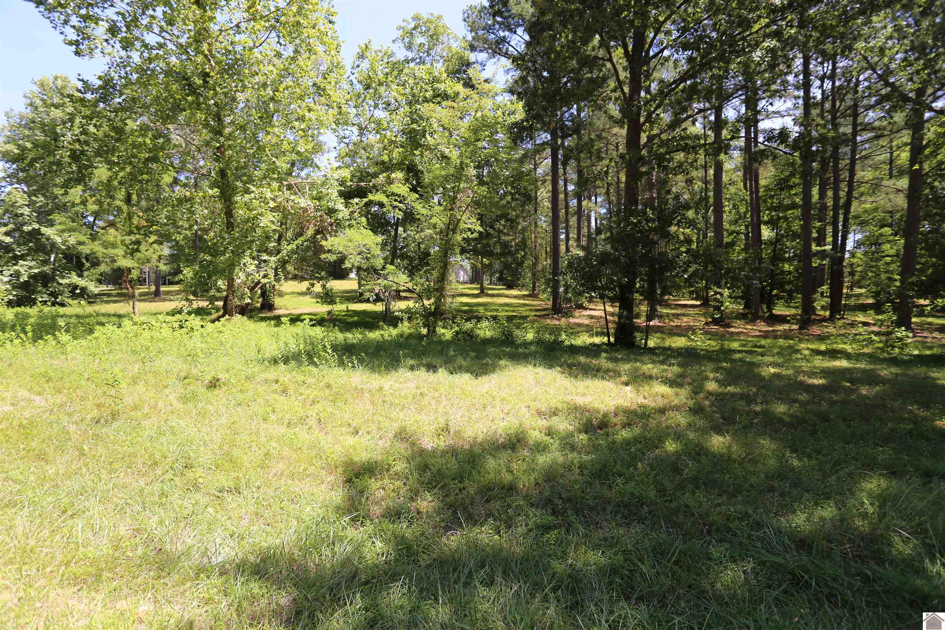 Lot #42 Pine View Drive, Benton, KY 42025 Listing Photo  1