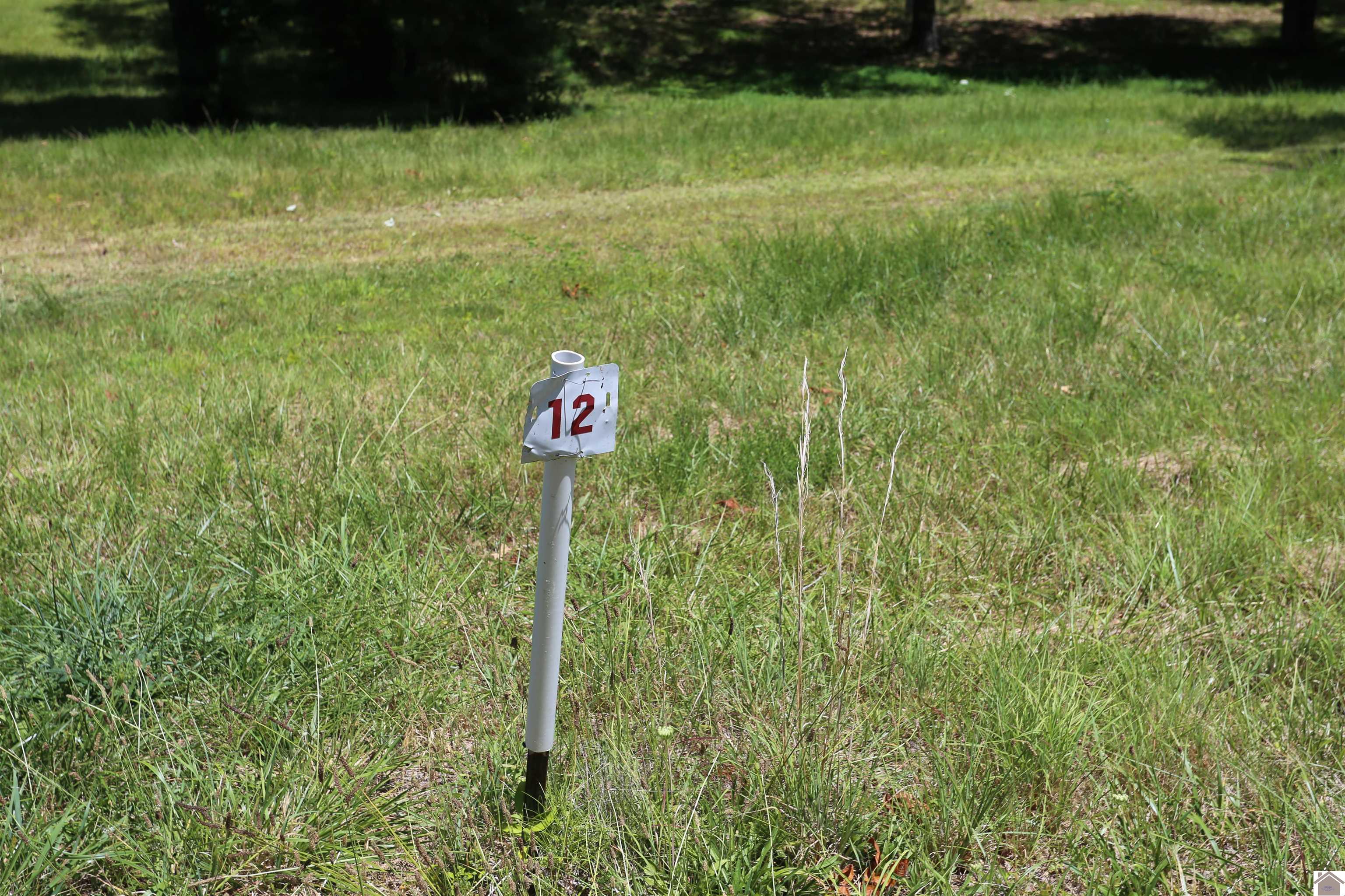 Lot #12 Pine View Drive, Benton, KY 42025 Listing Photo  1