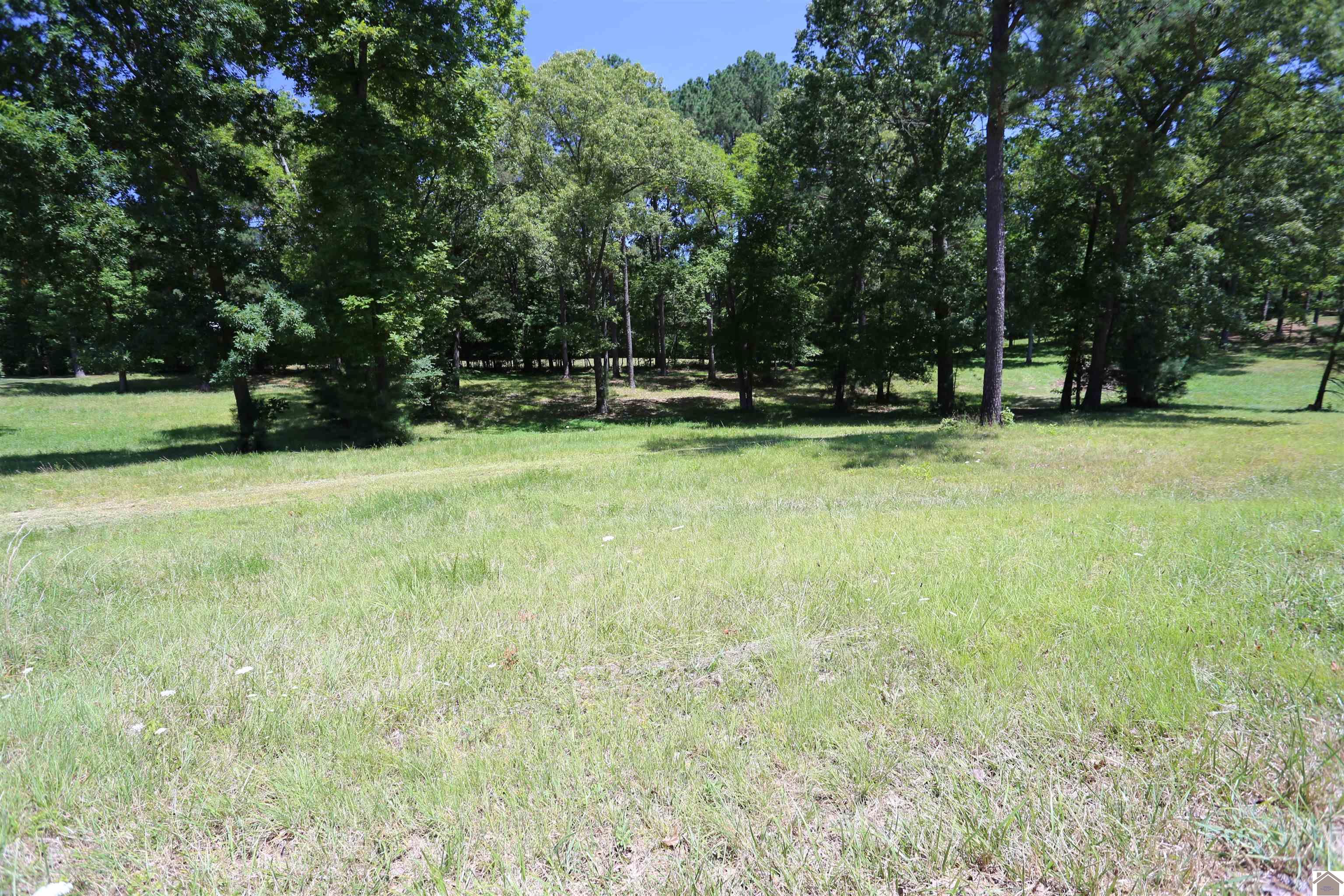 Lot #12 Pine View Drive, Benton, KY 42025 Listing Photo  2