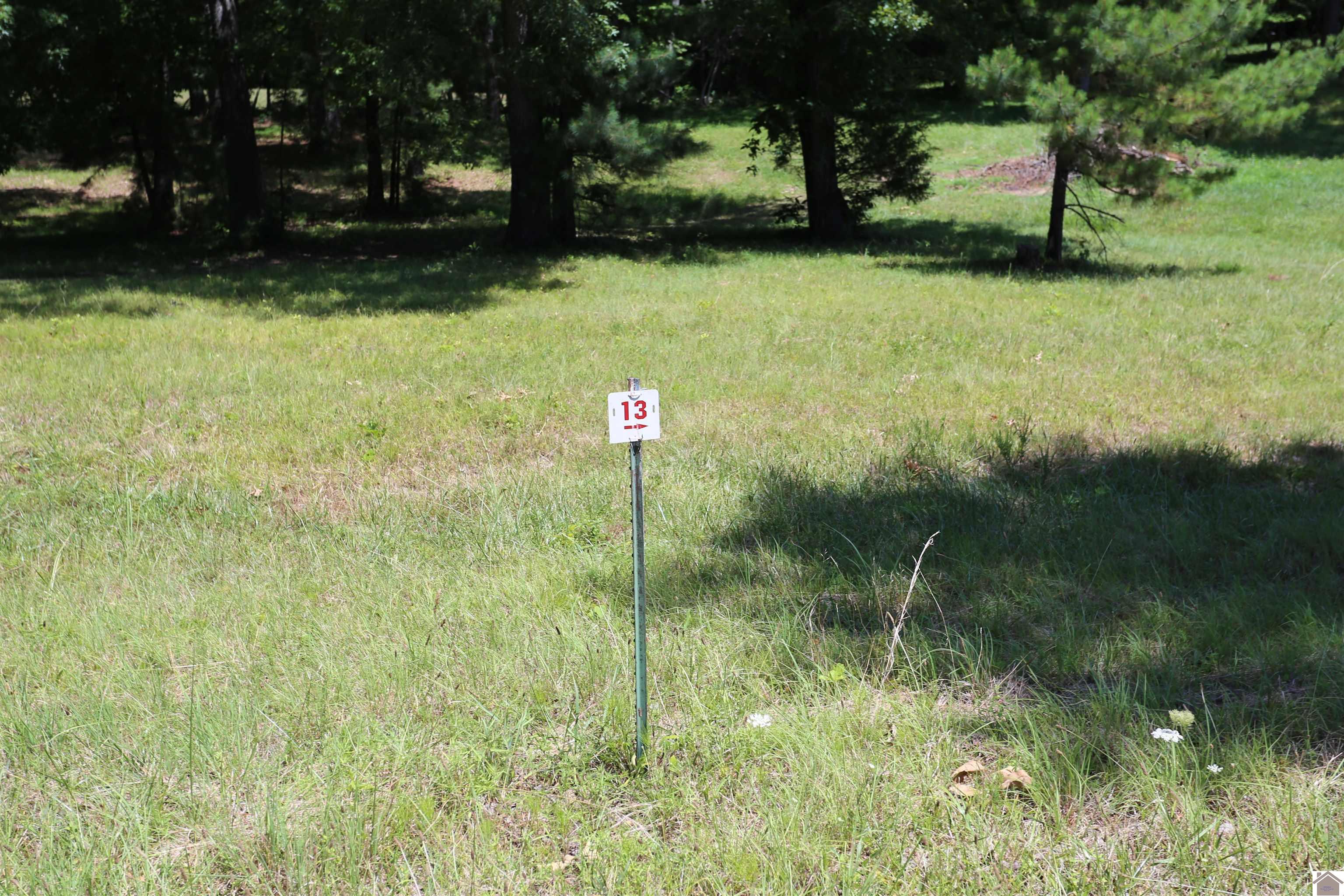 Lot #13 Pine View Drive, Benton, KY 42025 Listing Photo  1